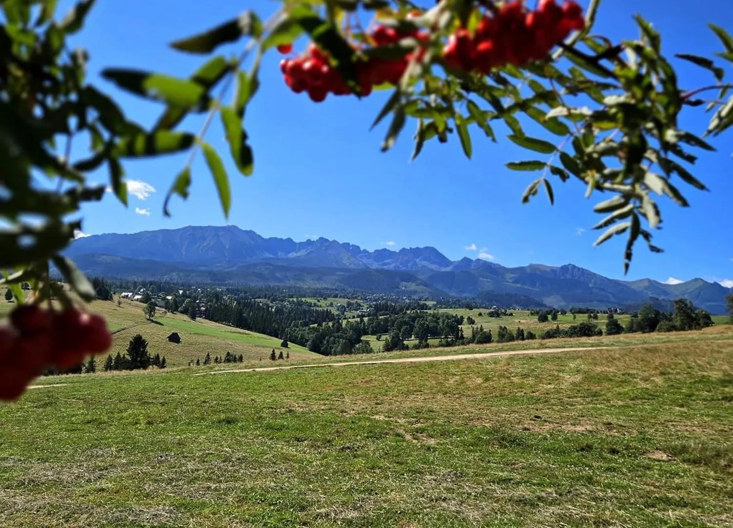 Goralska Chatka 2 Highland Cottage - Split Ac, Jacuzzi, Sauna, Private Parking, Mountains View, Garden, Zakopane Polen
