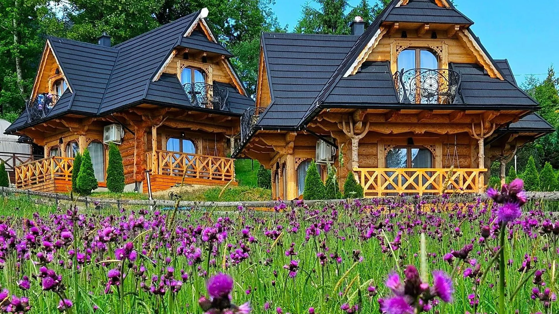 Domek alpejski Góralska Chatka w Zakopanem